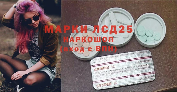 молекула духа Медвежьегорск