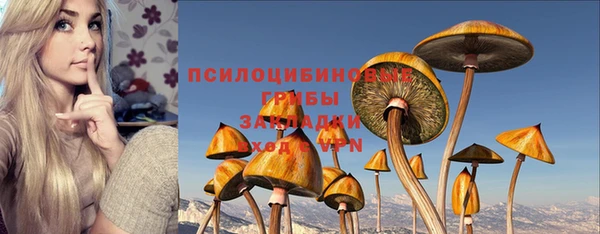 Альфа ПВП Михайловка