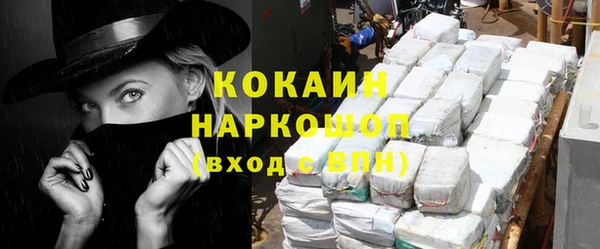 шишки Магас