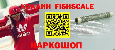 гидропоника Гатчина