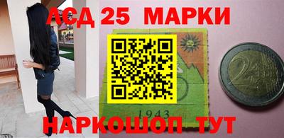 гидропоника Гатчина