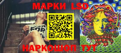 гидропоника Гатчина