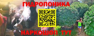 спиды Гагарин
