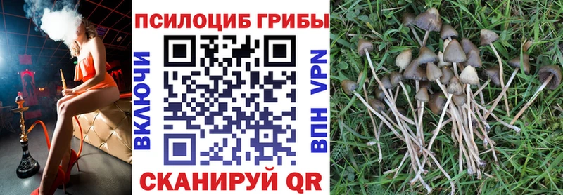 Псилоцибиновые грибы мухоморы MEGA ТОР Истра купить наркоту