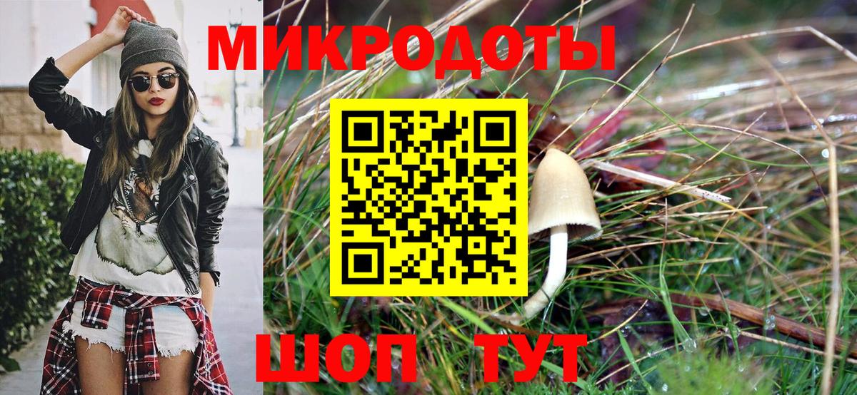 Псилоцибиновые грибы Psilocybe Истра